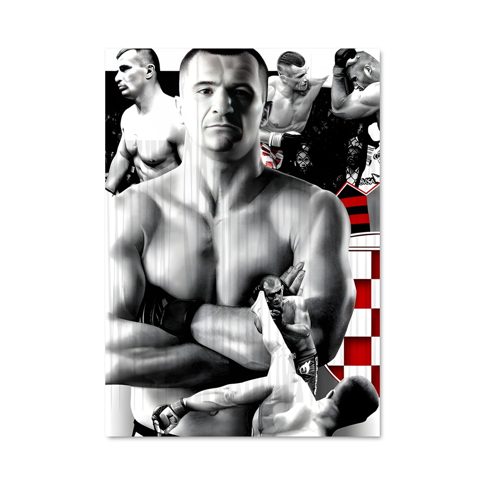 Poster Fight Night Royale – affiche MMA